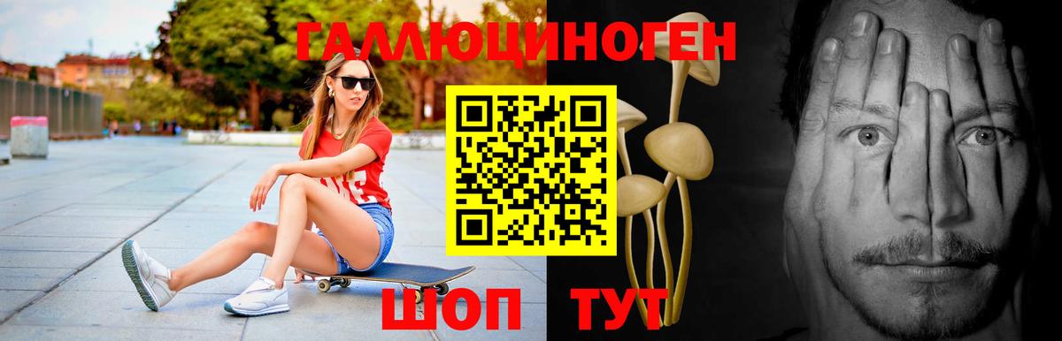 Псилоцибиновые грибы GOLDEN TEACHER Киреевск
