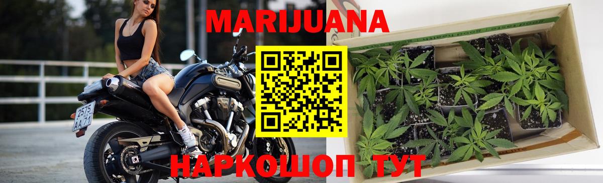 Шишки марихуана OG Kush Киреевск